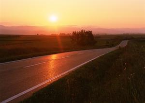 立会いで愛車のコンディションをチェック