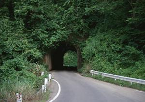 未使用軽自動車を格安で購入できます