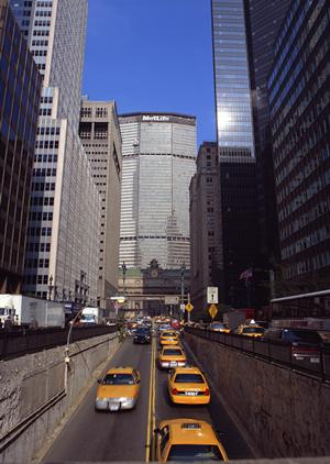 愛知県最大級の規模を誇る自動車販売会社