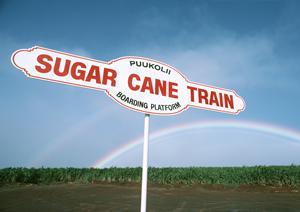 ガラスコーティング作業が丁寧な専門店