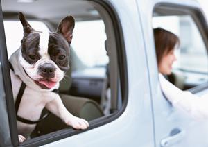 【最新情報】格安車検で安心・高品質を実現！コストパフォーマンス抜群の選び方とポイント