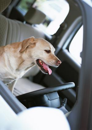 ETCカードは法人用ならもっとお得