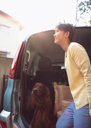 女子会等をリムジンで演出する会社です